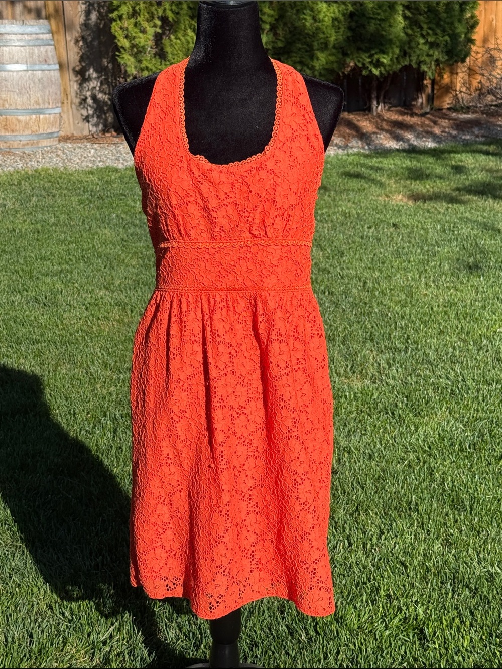 Laundry by Design Orange Lace Halter Dress (10)